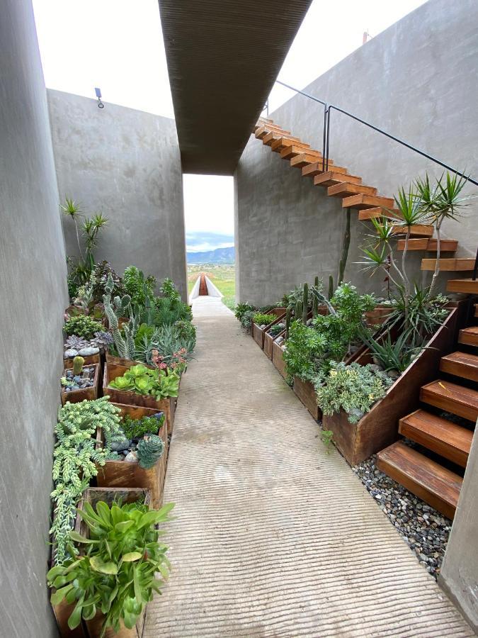 Santulan Bed and Breakfast Valle de Guadalupe Εξωτερικό φωτογραφία