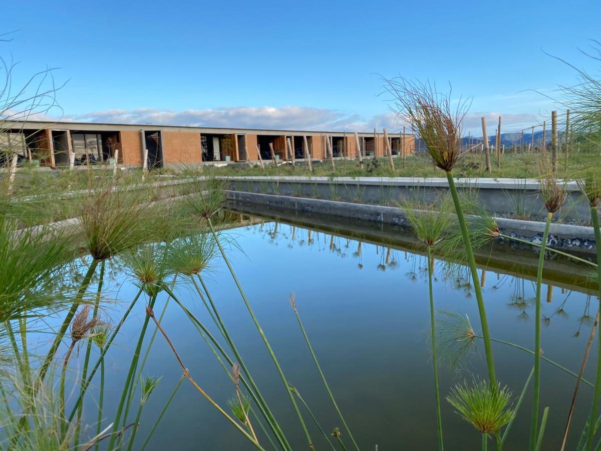 Santulan Bed and Breakfast Valle de Guadalupe Εξωτερικό φωτογραφία